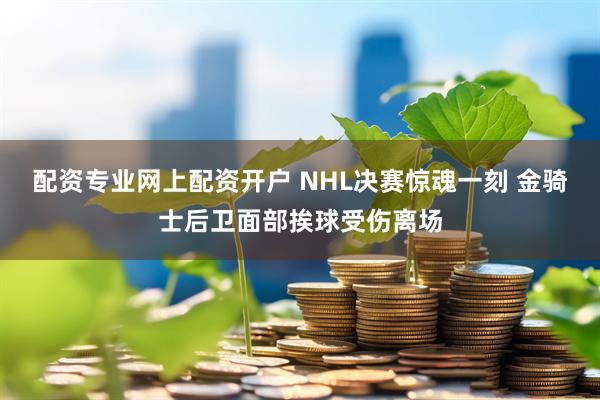 配资专业网上配资开户 NHL决赛惊魂一刻 金骑士后卫面部挨球受伤离场